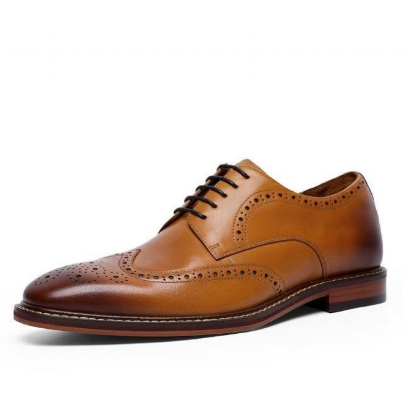 Elegante Schoenen Brock Retro Herenschoenen