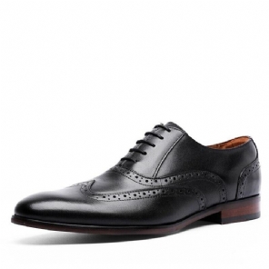 Heren Elegante Schoenen Grain Echt Leer Oxfords Stijl Bullock