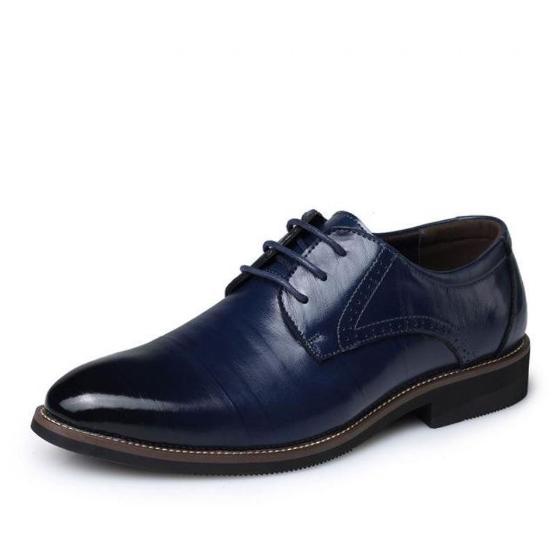 Heren Elegante Schoenen Klassieke Leren Oxford-schoenen Voor Zakenmensen