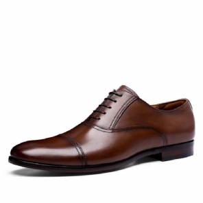 Heren Elegante Schoenen Retro Ossenleer Oxford Schoenen