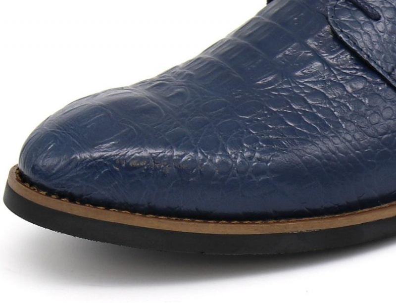 Leren Schoenen Met Retro Krokodillenpatroon Elegante Schoenen Heren