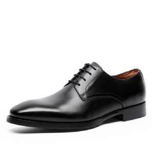 Stijlvolle Elegante Jurk Formele Schoenen Elegante Schoenen Heren