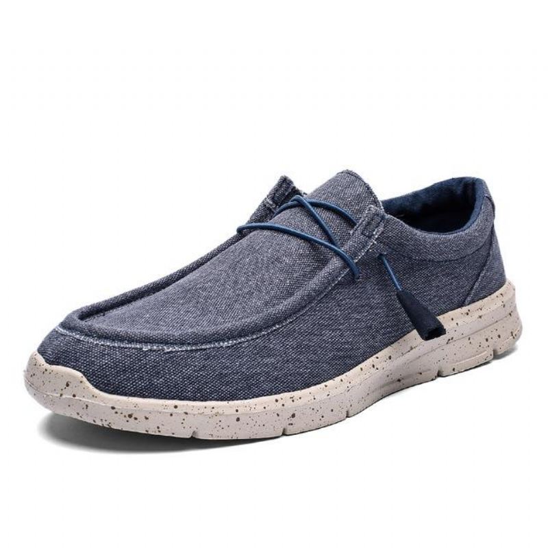 Casual Schoenen Heren Canvas Ademende Vrijetijdsschoenen