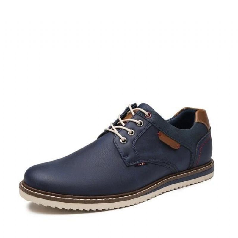 Casual Schoenen Heren Leren Comfortabele Schoenen