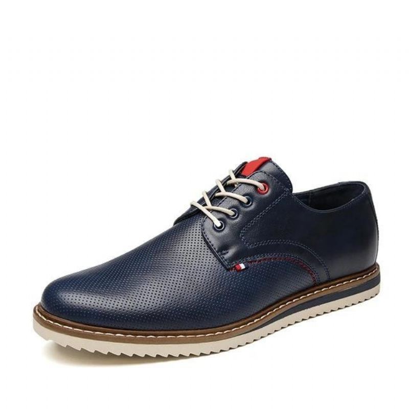 Heren Casual Schoenen Comfortabele Ademende Schoenen