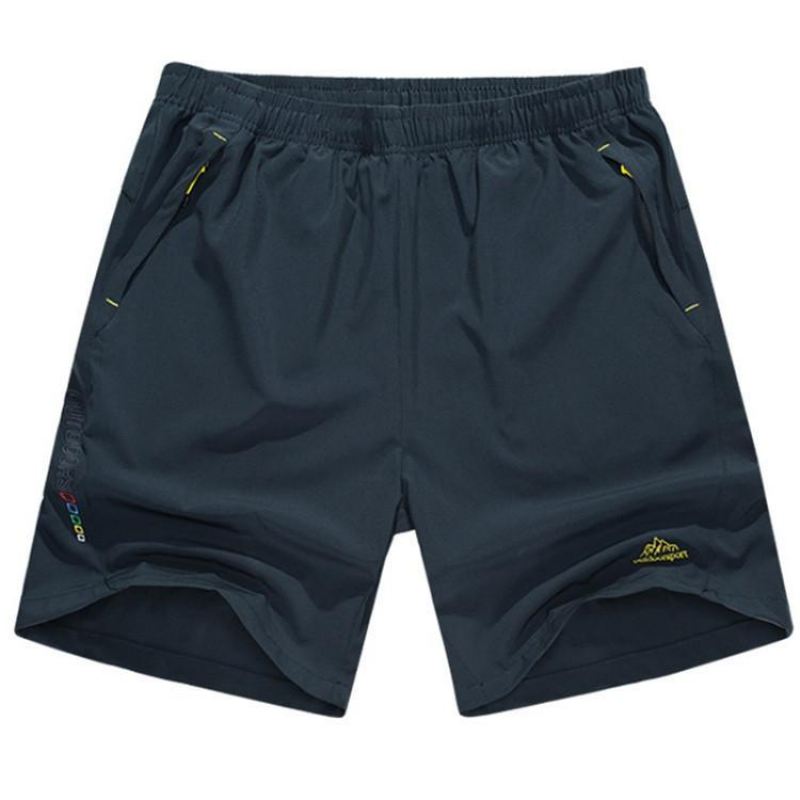 Heren Korte Broeken Ademende Strandshort