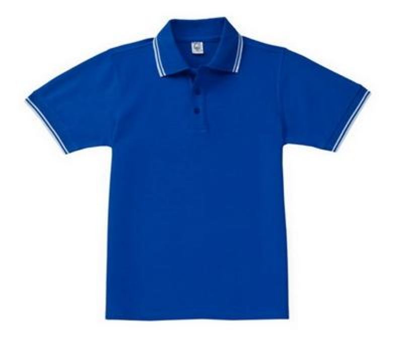 Poloshirts Heren Effen Casual Poloshirt